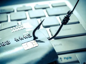 Recent cases include busting a fake recruitment agency, money fraud, and manipulation of university degree certificates. (Shutterstock)