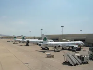 Security measures at Rafik Hariri International Airport are in the spotlight again following the deadly attacks at Brussels Airport. (Wikipedia)