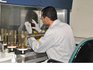 Al Borg Laboratories