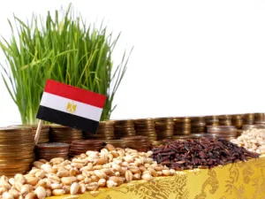 Urban consumer inflation hit an eight-year high of 19.4 percent in November, when Egypt abandoned its currency peg of 8.8 to the dollar.  (Shutterstock) 