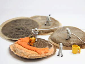 Gulf states are looking to new ways of putting food on the table. (Pixabay)