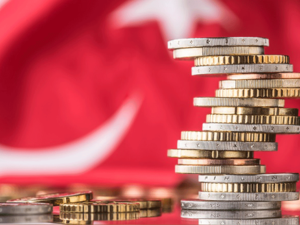 The Turkish currency lost nearly 30 percent against the dollar last year in a sell-off sparked by concerns over the independence of the central bank and exacerbated by worsening ties with Washington. (Shutterstock)