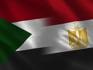 خلال 2017، بلغ حجم التبادل التجاري بين مصر والسودان نحو 554 مليون دولار