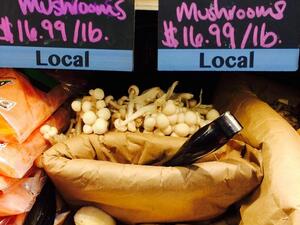 Pom-Pom mushroom (Twitter)