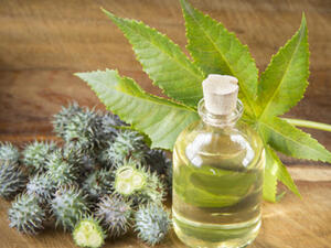 هذه الخلطة ستساعدكِ على الحصول على شعر ناعم، صحي ولامع خلال أسبوع واحد!