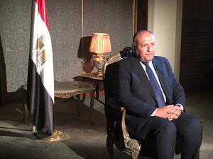 Egyptian FM Sameh Shoukry (Twitter)