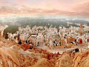 Al-Ahsa Oasis (Twitter)