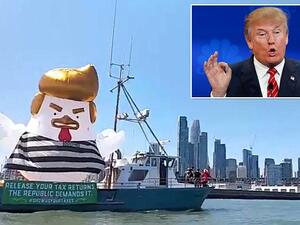 'President Chicken' (Twitter)