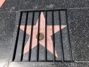 Prison bars on President Trump's Hollywood Walk of Fame star (Twitter)