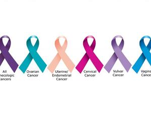 The 5 Gynecological Cancers