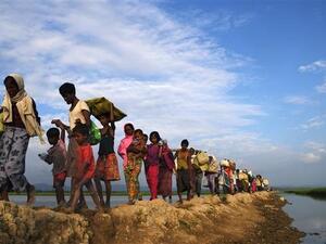 Rohingya Muslim refugees (Twitter)
