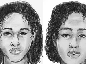 The bodies of Tala Farea, 16, and Rotana Farea, 22, both of Fairfax, were found (Twitter)