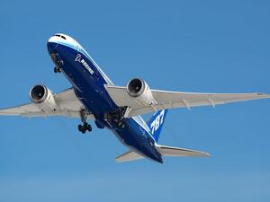 "Hopefully, we will provide EgyptAir with more Dreamliner jets as they to be of proved high quality,” (Shutterstock)