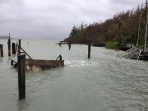 رصيف غارق في جزيرة ديدريم

