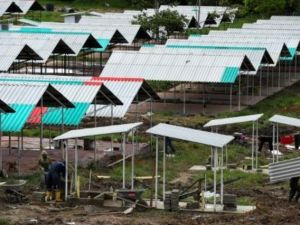 عناصر من القوات المسلحة الثورية في كولومبيا (فارك) يبنون منازل في منطقة كوليناس بولاية غافياري
