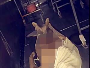 سعوديون يحتفلون برأس السنة بين جثث مشرحة في جدة