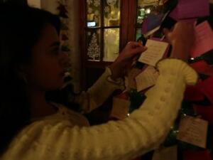 شجرة الميلاد في دمشق تزينها أمنيات بالسلام 