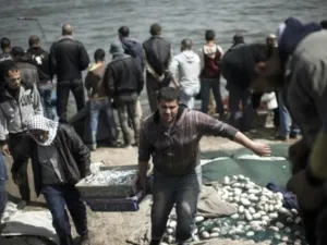 اسرائيل توسع منطقة صيد الاسماك المسموح بها في غزة

