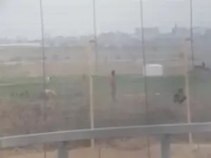 صورة ماخوذة من التسجيل