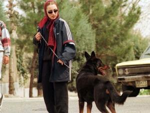 منع الايرانيين من التجول برفقة كلابهم في الشوارع!