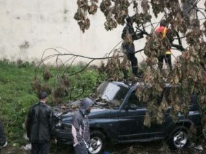 اعصار ايناوو يقتل 50 شخصا في مدغشقر

