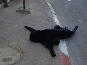 إعدام فلسطينية