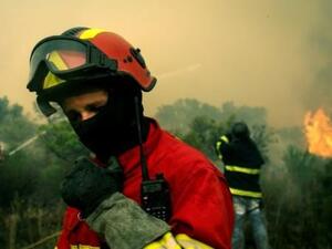 الدخان يغلف شواطئ البرتغال
