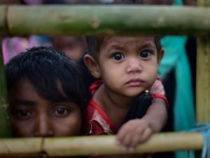 نحو 14 ألف طفل لاجئ من الروهينغا فقدوا أحد الوالدين 
