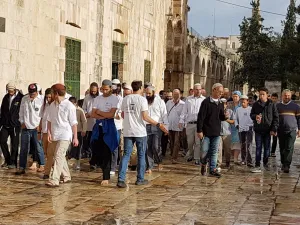مستوطنون خلال جولة استفزازية في ساحات الحرم
