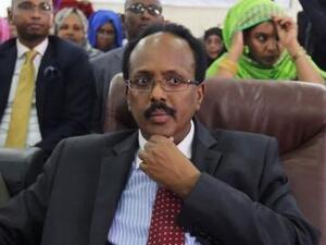 محمد عبد الله