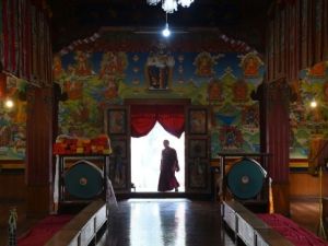 وفاة طالب من التيبت أضرم النار في نفسه في الهند