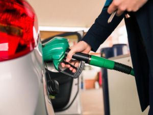 (Shutterstock/ File Photo)