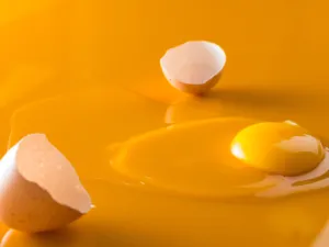 يُعتبر صفار البيض مكمِّل غذائي إلى جانب حليب الأم

