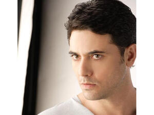 Ahmed Ezz doesn't want a superstar wife.