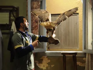  الفنان السوري في المسلسل المصري "الصقر شاهين" 
