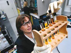 ظهرت القيمة الحقيقة لرغوة الصويا كمنتج صديق للبيئة ومفيد للأعمال مما ساهم في تقليص انبعاثات غاز الدفيئة. وقد أثمر ذلك عن فوائد مجزية مثل القدرة على تخفيض الوزن، ما أدى بدوره إلى تحسين الكفاءة في استهلاك الوقود في السيارات.