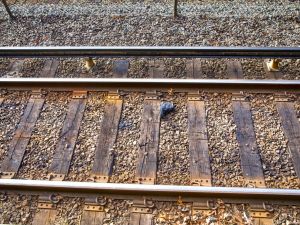 (Shutterstock/ File Photo)