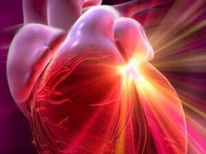 تصلب الشرايين مصطلح طبي يطلق على حالة تجمع وتراكم المواد الدهنية على طول جدران شرايين 