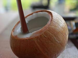  جوزالهند الصحي 