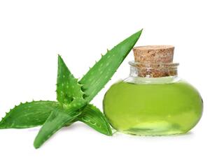 يعتبر الصبار واحداً من أفضل المكونات للعناية بالبشرة 