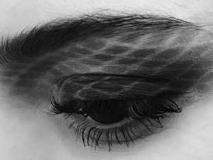 ظلال العيون المبطنة