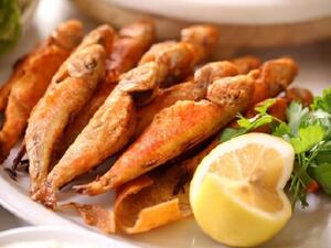 سمك السلطان ابراهيم الأحمر