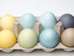 بيض ملون بألوان طبيعية زاهية