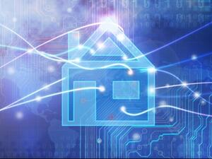 تم إعداد ورق الجدران باستخدام ورق غير عضوي تم إعداد ورق الجدران باستخدام ورق غير عضوي