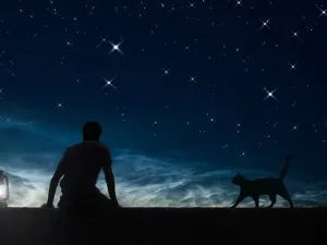 ماذا يعني أن تحلم بالقطط؟
