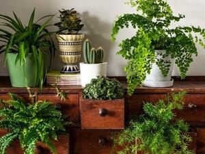 لست بحاجة الى المساحة أنت بحاجة الى الافكار الابداعية لست بحاجة الى المساحة أنت بحاجة الى الافكار الابداعية