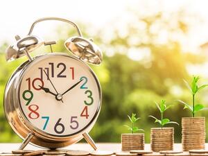 تعد النباتات المنزلية أجهزة فلتر طبيعية تعمل على تهوية وتنقية الهواء  تعد النباتات المنزلية أجهزة فلتر طبيعية تعمل على تهوية وتنقية الهواء