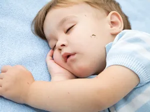 الاطفال هم الاكثر عرضة للدغات البعوض