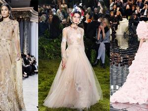 الوردي والشامبين ألوان عروس الربيع 