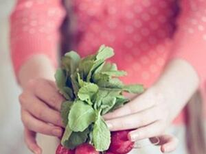 المنافع الصحية للفجل المنافع الصحية للفجل